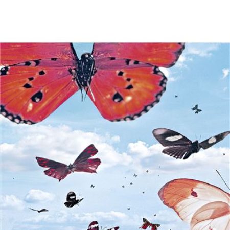 couverture du livre de poche les enfants sont rois de delphine vigean